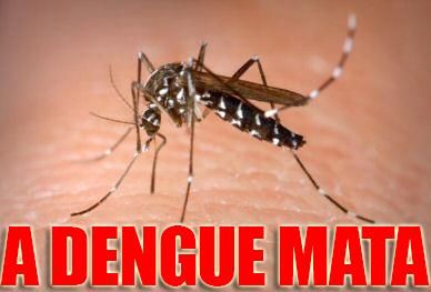 dengue(2)