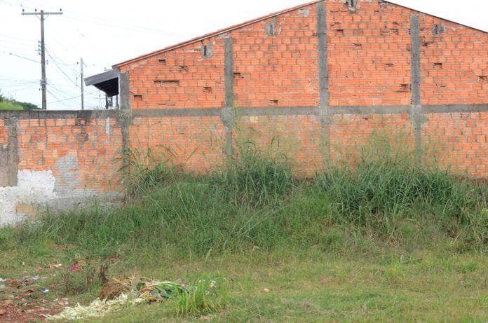 Foto: Gisele Cabrera/Prefeitura de Cambé