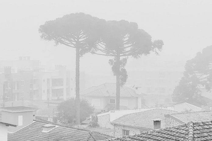 news_interna_Inverno__Denis_Ferreira_Netto_Sedest