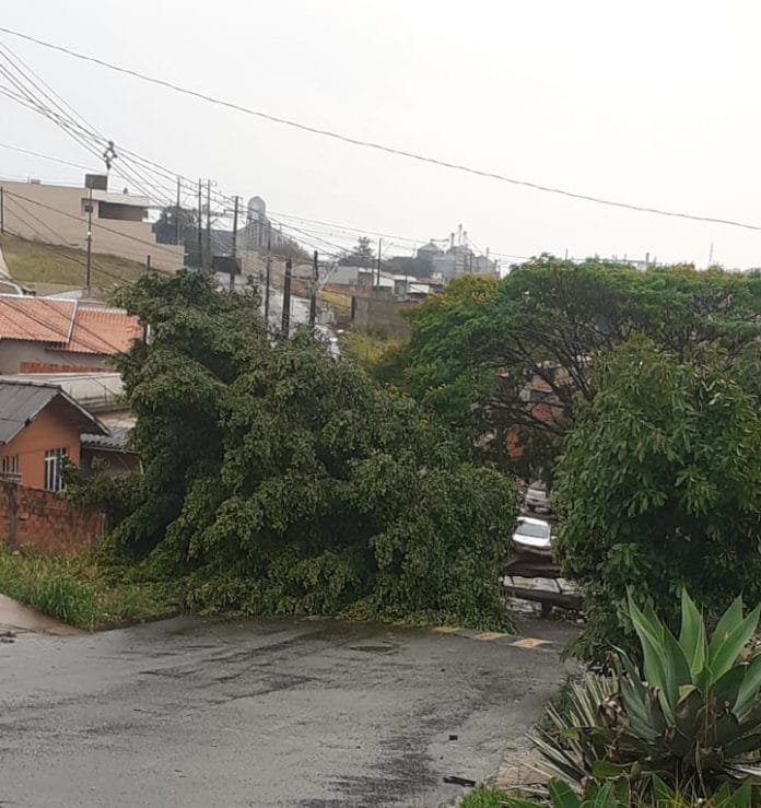 Jardim Nova Cambé