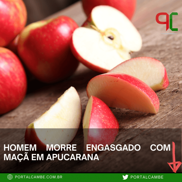 novo noticias portal (2)
