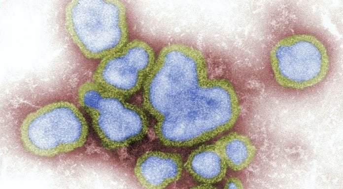 H3N2